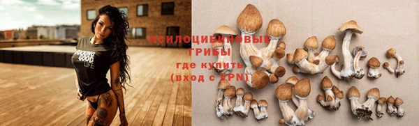 эйфоретик Михайловск