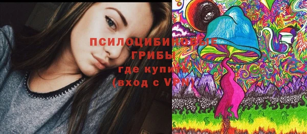 молекула духа Михайлов