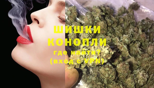 молекула духа Михайлов