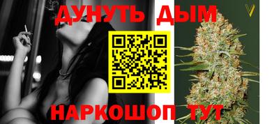 МДПВ Дубна