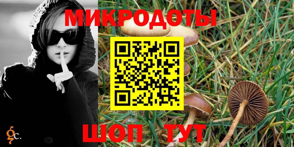 Кондопога  Галлюциногенные грибы MAGIC MUSHROOMS  Вход с VPN 